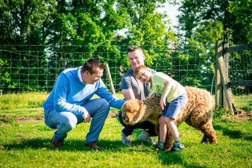 two men and a child playing with a sheep at Poezelhoekvallei Loft in Zonnebeke