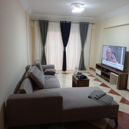 Bella, Alexandria (updated prices 2024)