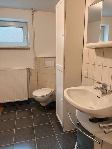 a bathroom with a toilet and a sink at Gemütliche Wohnung in Bleckede an der Elbe in Bleckede
