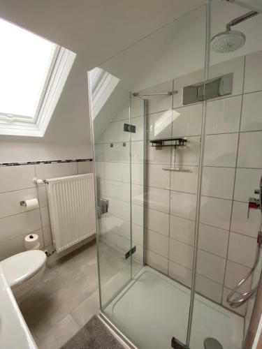 a bathroom with a glass shower with a toilet at Ferienwohnung mit Aussicht in Koblenz