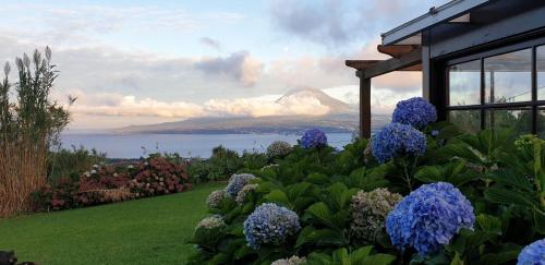 a garden with blue flowers and a view of a mountain at Casa Vista Fantástica in Pedro Miguel
