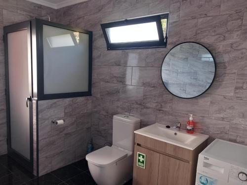 ein Badezimmer mit Toilette, Waschbecken und Spiegel in der Unterkunft Casa dos Avós Domingos & Matilde in Estreito da Calheta