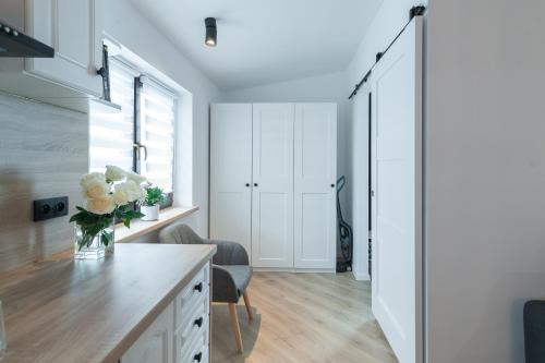 Η κουζίνα ή μικρή κουζίνα στο Apartament Z widokiem na las