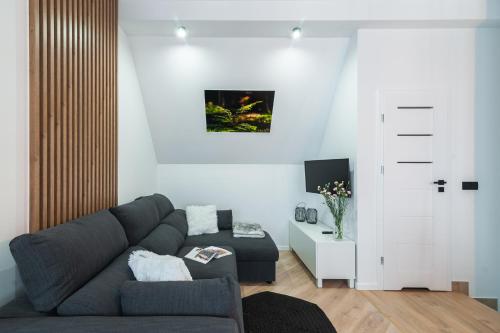 Μια τηλεόραση ή/και κέντρο ψυχαγωγίας στο Apartament Z widokiem na las