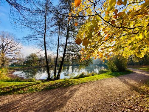 a dirt road next to a lake with trees at Kuschelige helle Ferienwohnung in Gotha