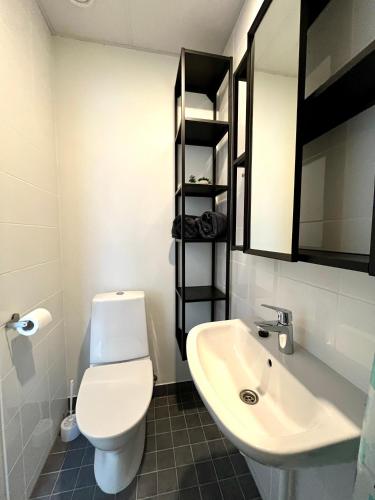 a bathroom with a white toilet and a sink at Savi Apartment in Pärnu