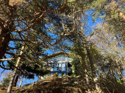 Gallery image of Forest View Hotel in Yavrovo