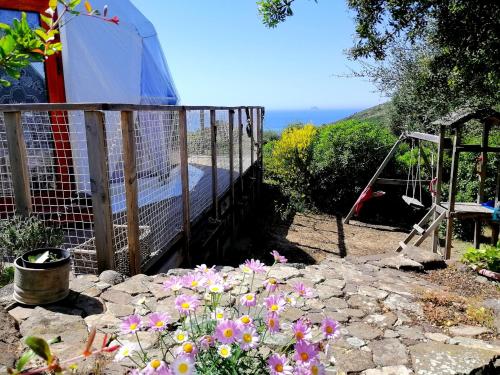 Κήπος έξω από το B&B Glamping Semaforo Capo Sperone
