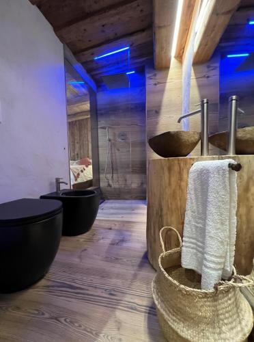a bathroom with two sinks and two toilets at La Maisonette 1878 in Dosoledo