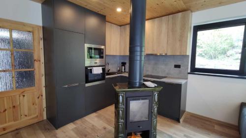 a kitchen with a wood stove in a room at Chata Demian in Demanovska Dolina