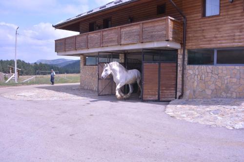 a white horse standing in the doorway of a building at Hotel Borovi Forest Resort & Spa in Sjenica