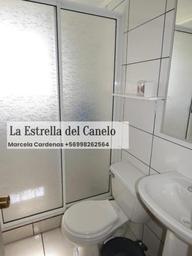 a white bathroom with a toilet and a sink at La Estrella del canelo in Algarrobo