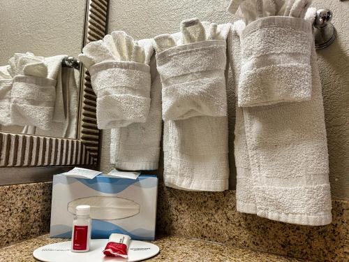bagno con asciugamani, lavandino e specchio di Days Inn by Wyndham WestEnd Alexandria,VA Washington DC Area a Alexandria