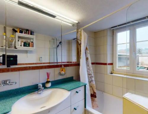 a bathroom with a sink and a mirror at Rooftop double bedroom 