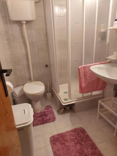 a bathroom with a toilet and a shower and a sink at BELE STAZE-Brzece,Kopaonik in Brzeće