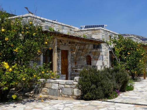 une maison en pierre avec des orangers devant elle dans l'établissement Traditional stone-built cottages Azalas, à Moutsoúna