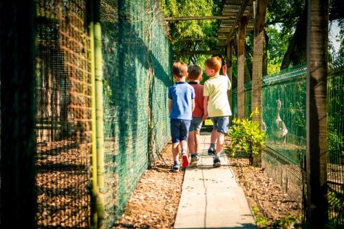 three boys walking through a fence at a zoo at Poezelhoekvallei Loft in Zonnebeke