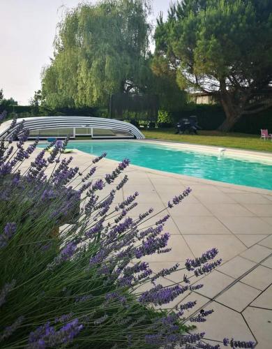 una piscina con flores púrpuras delante en Clos Ninastaret, 