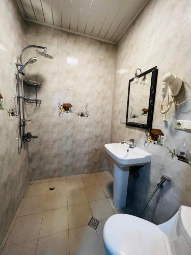 a bathroom with a sink and a toilet and a mirror at Apartments NITA in Batumi