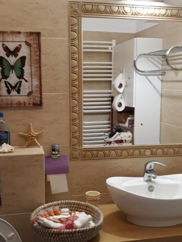 La salle de bains est pourvue d'un lavabo et d'un miroir. dans l'établissement Sweet Butterflies Residence, à Braşov