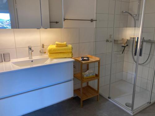 uma casa de banho com um lavatório e um chuveiro em Studio Bergblick em Eschenbach