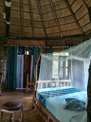 Фотография из галереи Chimpanzee Capital Safari Lodge в городе Bigodi