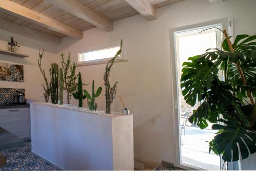 a room with potted plants and a window at B&B Fontanella 32 in Porto SantʼElpidio