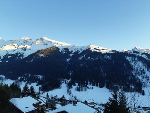 a mountain covered in snow with houses and trees at Le Soladret - 2 pièces 4 étoiles - Vue extraordinaire sur les Aravis in La Clusaz