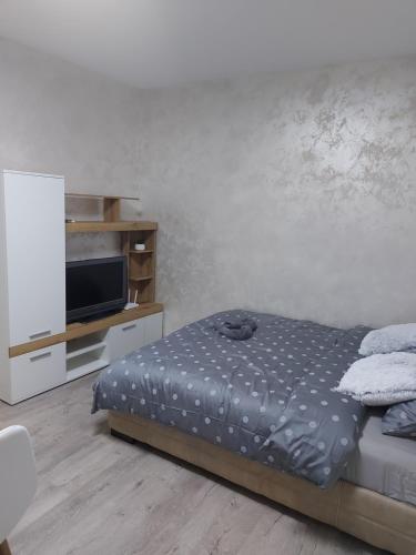 - une chambre avec un lit et une télévision à écran plat dans l'établissement Apartman mikikiki, à Belgrade