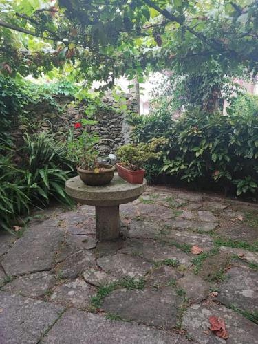 Taman di luar Casita en Domaio - Moaña