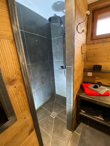 une cabine de douche dans une petite maison dans l'établissement Sapinette, à Arâches-la-Frasse