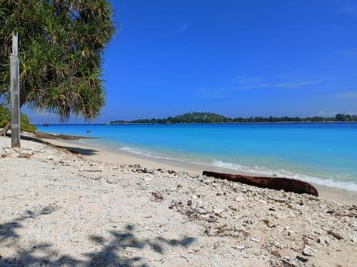 a log on a beach next to the water at villa gilimakyah in Gili Air