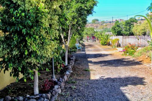 Κήπος έξω από το FINCA BEROLO 1