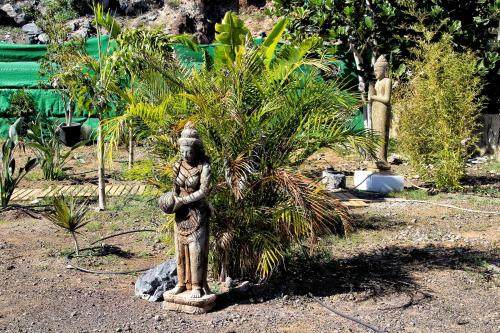 Κήπος έξω από το FINCA BEROLO 1