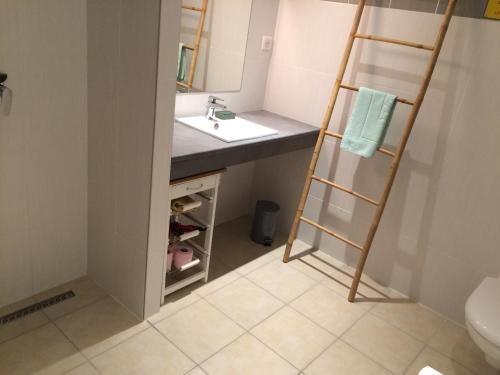 a bathroom with a ladder next to a sink at La maison du vigneron in Ternand
