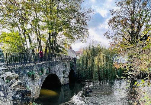 a bridge over a river with a person standing on it at Dapps Hill Haven - between Bristol and Bath, both 9 mins by train! in Keynsham