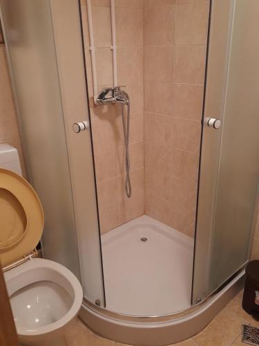 a shower stall in a bathroom with a toilet at Casa Sebastian - Rau Mare Retezat 