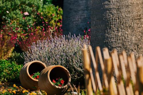 three pots with flowers in them next to a fence at Kalergis Studios in Naxos Chora