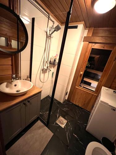a bathroom with a sink and a toilet and a mirror at Villa Safari in Perniö