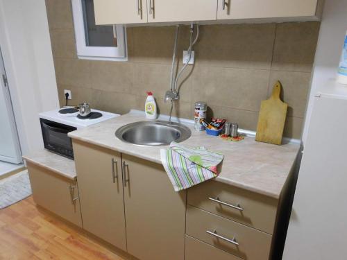 a small kitchen with a sink and a stove at Apartman Bagdala in Kruševac