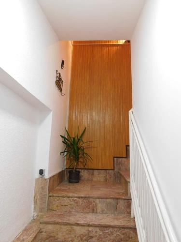 a hallway with a wooden door and a potted plant at Apartman Bagdala in Kruševac