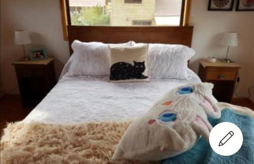 un gato negro sentado en una cama con dos almohadas en Casa en el campo Olmue, en Granizo