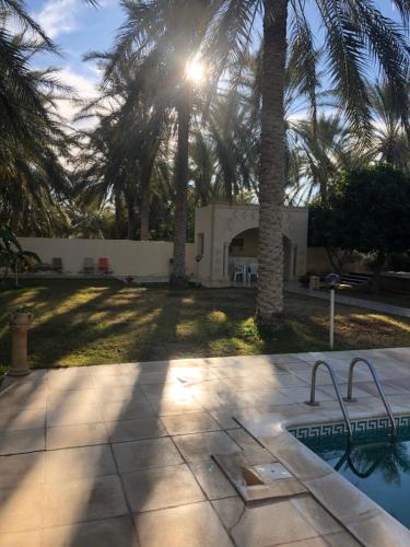 une piscine bordée de palmiers et une maison dans l'établissement Dar dguech, à Degache