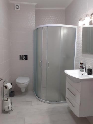 een badkamer met een douche, een toilet en een wastafel bij Apartman Gabi in Subotica