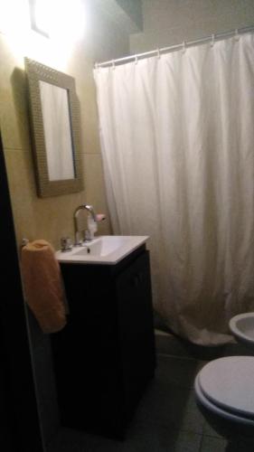 baño con lavabo y cortina de ducha blanca en Villa Elisa,La Plata Apart II en 