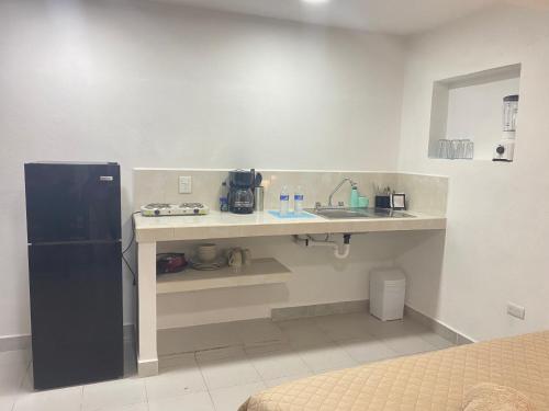 uma pequena cozinha com um lavatório e um frigorífico em Departamento gaviota em Cozumel