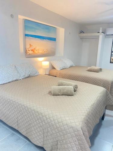a bedroom with two beds and a painting on the wall at Departamento gaviota in Cozumel