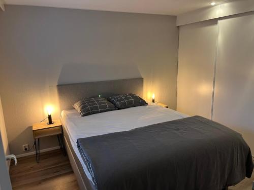 um quarto com uma cama grande e 2 almofadas em Lavendelhoeve em Putten