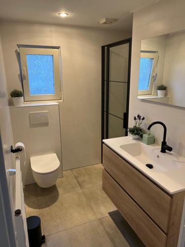 uma casa de banho com um lavatório, um WC e um espelho. em Lavendelhoeve em Putten