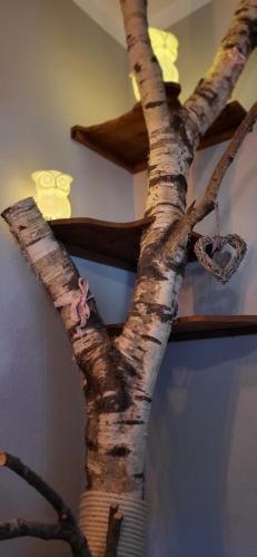 a tree branch with a heart on a ceiling at Altstadt-Liebe in Neuanbau